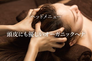 ヘッドメニュー