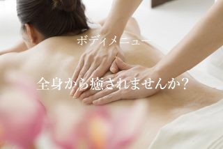 ボディメニュー